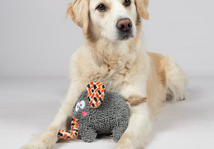 Flamingo Saffia Elephant Plush Dog Toy – Soft Rustling Elephant with Squeaker