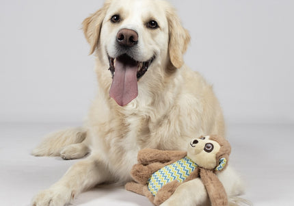 Flamingo Drala Plush Monkey Toy – Soft Brown 20cm with Squeaker, Durable Design