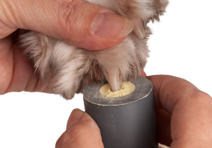 Show Tech Stop Bleeding Holder – Compact Storage Box with Secure Lid for Bleeding Powder