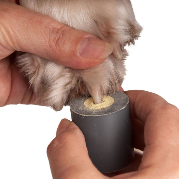 Show Tech Stop Bleeding Holder – Compact Storage Box with Secure Lid for Bleeding Powder