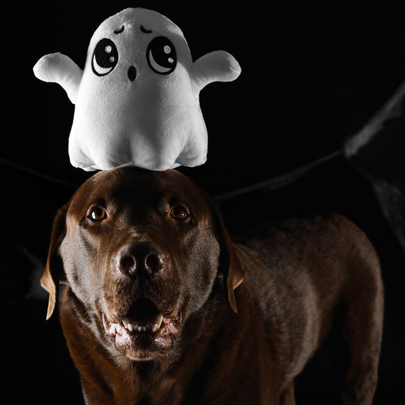 Dashi Halloween Plush Toy Boo – Soft Ghost Dog Stuffed Animal, Festive Collectible
