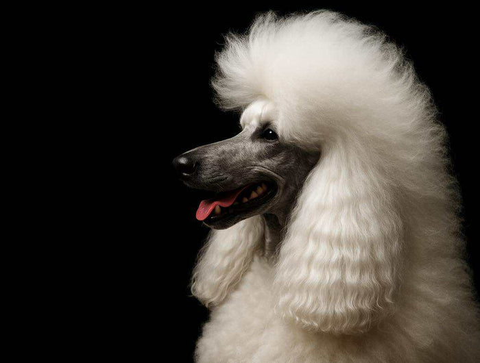 <h1></h1><h1></h1><h1>You create<br/>We remove the limits<br/><br/></h1>