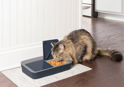 PetSafe Digital 2 Meal Feeder – Dual-Chamber Food Dispenser with LCD Display, Timed Meals