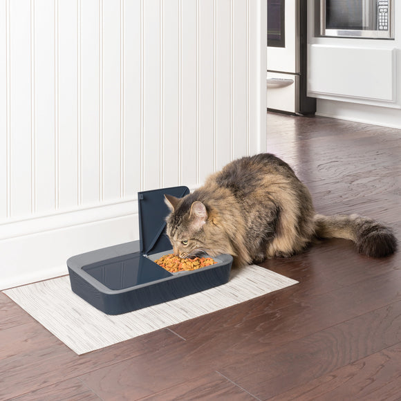 PetSafe Digital 2 Meal Feeder – Dual-Chamber Food Dispenser with LCD Display, Timed Meals