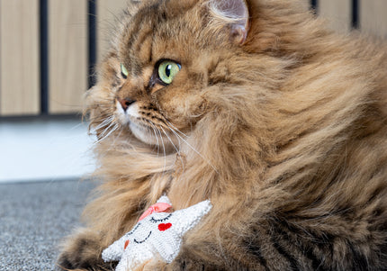 Flamingo Cat Lovu Star Catnip Toy – Feather Star Design, Engaging Playtime Accessory