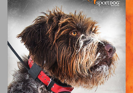 SportDOG TEK 2.0 Add-A-Dog GPS Collar – Additional Receiver, Waterproof and Durable Design