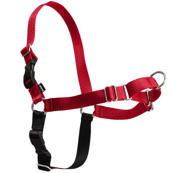 PetSafe Easy Walk Harness and Leash Set – Red, XL, Adjustable, Comfortable Design
