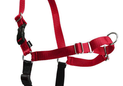 PetSafe Easy Walk Harness and Leash Set – Red, XL, Adjustable, Comfortable Design