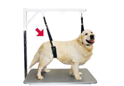 Show Tech Comfort Bellyband Small – Ergonomic Back Support Belt, Lightweight and Adjustable