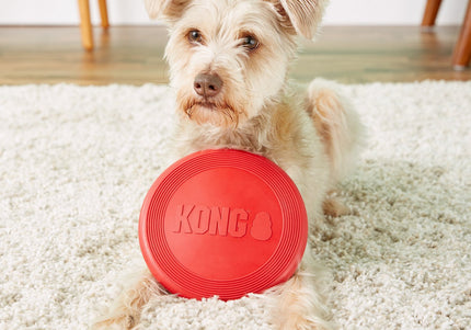 KONG Flyer Rubber Throwing Disc – Small Red Durable Flexible Frisbee Toy