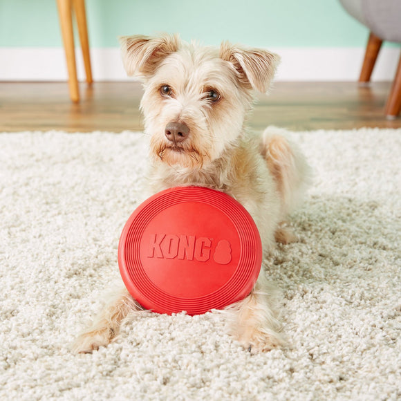 KONG Flyer Rubber Throwing Disc – Small Red Durable Flexible Frisbee Toy