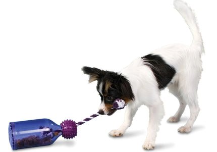 PetSafe Busy Buddy Tug-A-Jug Treat Toy – Extra Small Durable Interactive Bottle