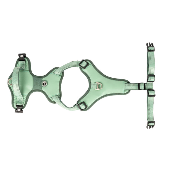 Max&Molly Sport Harness Matrix 2.0 Jade – Adjustable Dog Harness with QR ID, Mint, Large