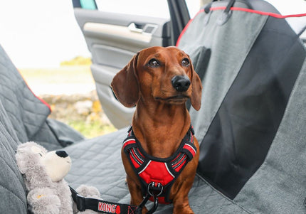KONG Travel 2-in-1 Bench Seat Cover and Dog Hammock – Waterproof, Durable Car Mat