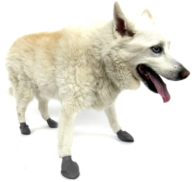 PAWZ Rubber Dog Boots – Black, Medium Size, 12 Pack, Durable Waterproof Protection