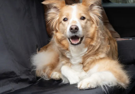 Flamingo MacBlack Waterproof Car Mat 130x109cm – Durable Protective Vehicle Cover