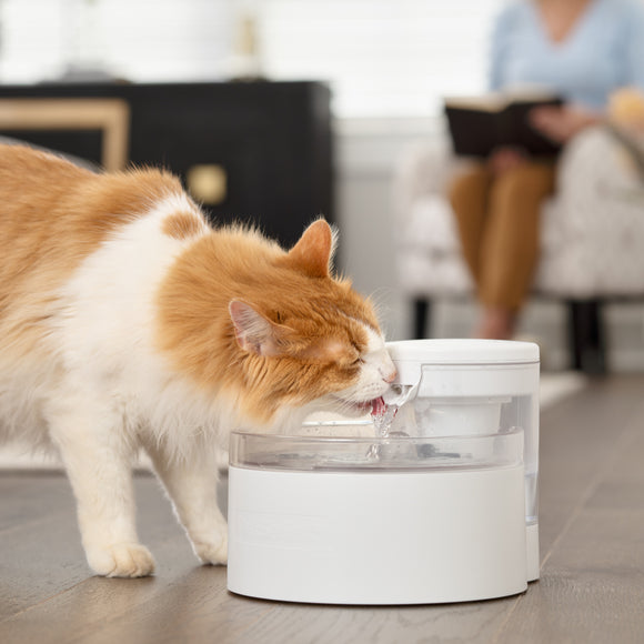 PetSafe Outlast Pumpless Pet Fountain 1.7L – Innovative Silent Water Dispenser, Easy-Clean Design