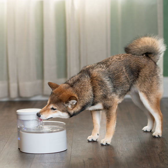 PetSafe Outlast Pumpless Pet Fountain 1.7L – Innovative Silent Water Dispenser, Easy-Clean Design