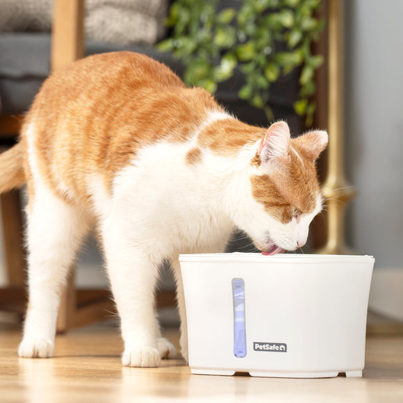 PetSafe Viva Pet Fountain – Large Capacity, Illuminated Water Level Indicator, Modern Design