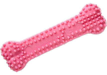 Nylabone Puppy Dental Bone Chicken XS – Safe Chew Toy, Chicken Scented, Blue, Gentle Cleaning