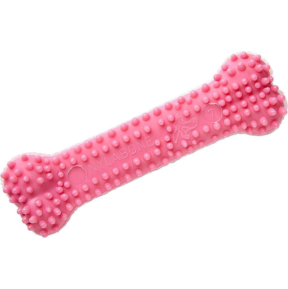 Nylabone Puppy Dental Bone Chicken XS – Safe Chew Toy, Chicken Scented, Blue, Gentle Cleaning