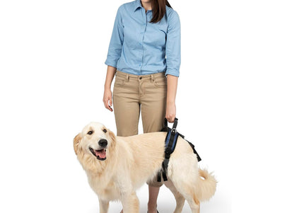 PetSafe CareLift Rear Support Harness – Medium Size, Ergonomic Hip Rehabilitation Design