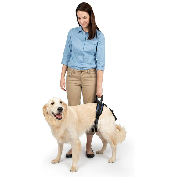 PetSafe CareLift Rear Support Harness – Medium Size, Ergonomic Hip Rehabilitation Design