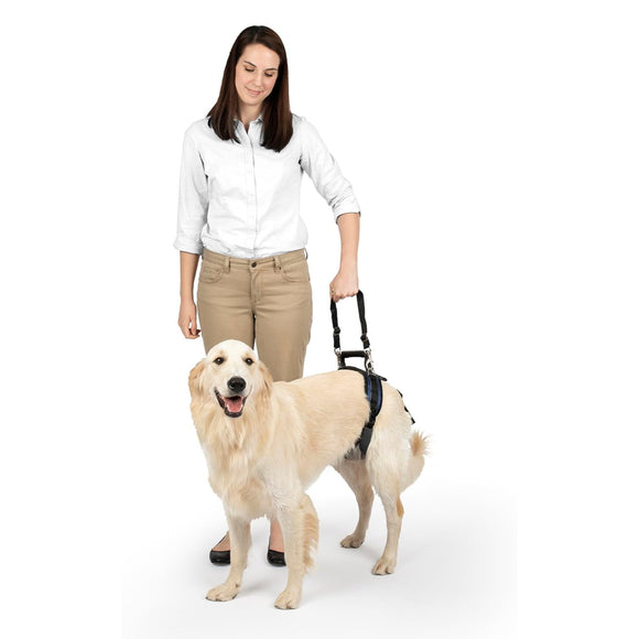 PetSafe CareLift Rear Support Harness – Medium Size, Ergonomic Hip Rehabilitation Design