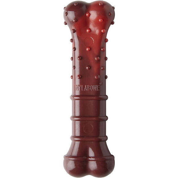 Nylabone Extreme Textured Beef Jerky Bone – Large Durable Dental Chew, Dried Beef Flavor