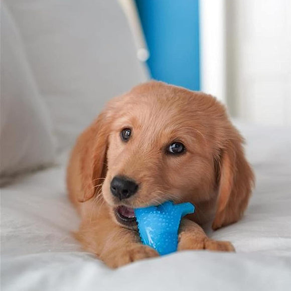 Nylabone Puppy Dino Chew – Small Flexible Chicken-Flavored Teething Toy
