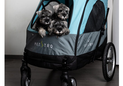 Show Tech Petstro Large 4-Wheel Buggy – Turquoise Grey, Spacious Stroller, Supports Up to 55kg