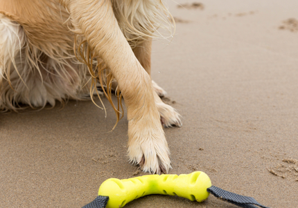 Nuzzle Puzzle Fling N Forage Dart 30cm Rubber Toy – Handles, Treat Dispensing, Interactive Play