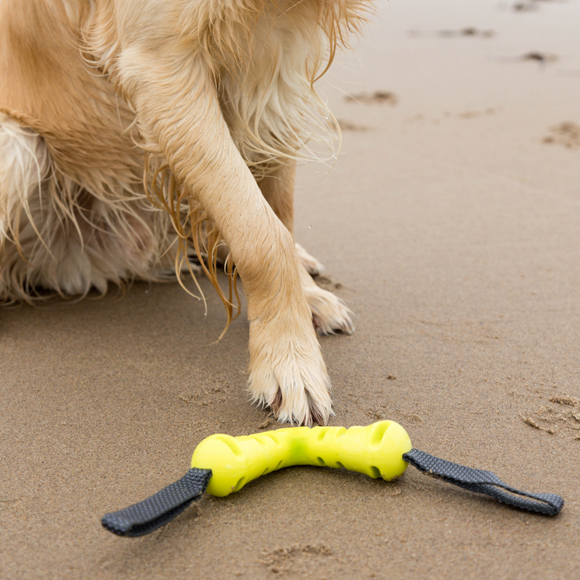 Nuzzle Puzzle Fling N Forage Dart 30cm Rubber Toy – Handles, Treat Dispensing, Interactive Play