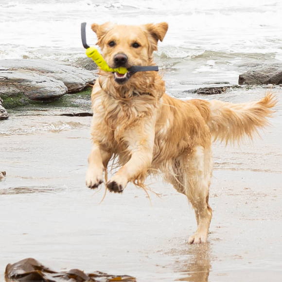 Nuzzle Puzzle Fling N Forage Dart 30cm Rubber Toy – Handles, Treat Dispensing, Interactive Play