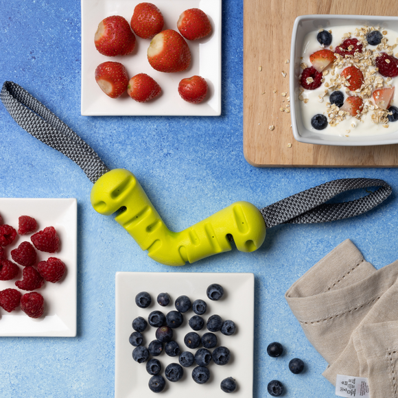 Nuzzle Puzzle Fling N Forage Dart 30cm Rubber Toy – Handles, Treat Dispensing, Interactive Play