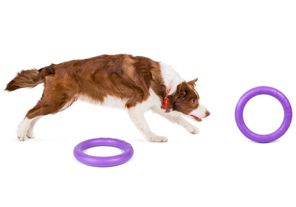 Puller Midi Training Rings 20cm – Durable Interactive Exercise Toy, 2 Piece Set