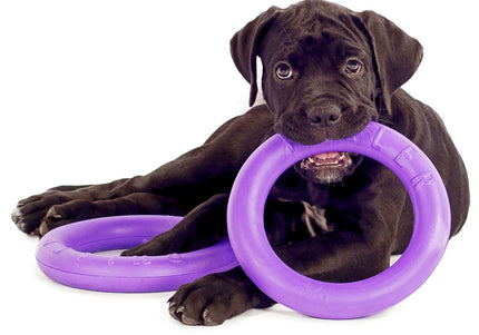 Puller Midi Training Rings 20cm – Durable Interactive Exercise Toy, 2 Piece Set