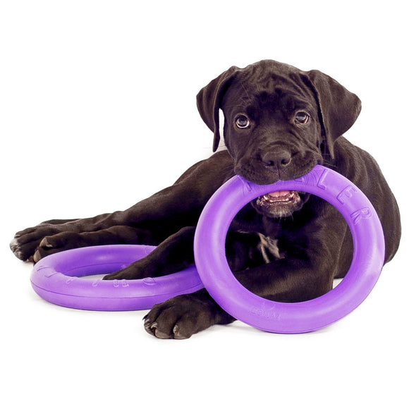 Puller Midi Training Rings 20cm – Durable Interactive Exercise Toy, 2 Piece Set