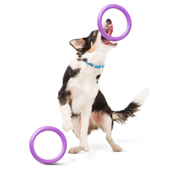 Puller Midi Training Rings 20cm – Durable Interactive Exercise Toy, 2 Piece Set