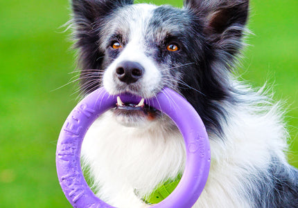 Puller Midi Training Rings 20cm – Durable Interactive Exercise Toy, 2 Piece Set