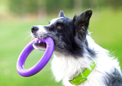 Puller Midi Training Rings 20cm – Durable Interactive Exercise Toy, 2 Piece Set