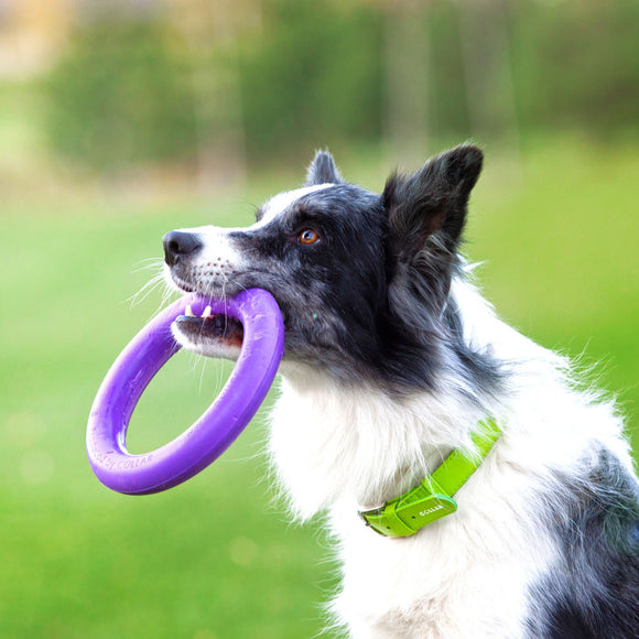 Puller Midi Training Rings 20cm – Durable Interactive Exercise Toy, 2 Piece Set