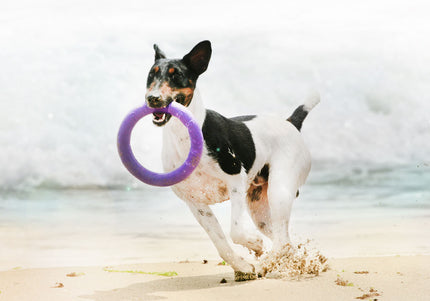 Puller Midi Training Rings 20cm – Durable Interactive Exercise Toy, 2 Piece Set