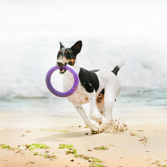 Puller Midi Training Rings 20cm – Durable Interactive Exercise Toy, 2 Piece Set