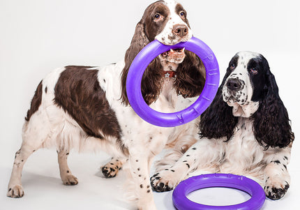 Puller Standard Training Rings 28cm – Durable Interactive Toy Set, 2 Pieces