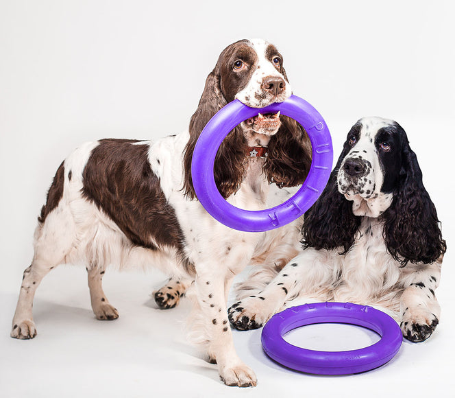 Puller Standard Training Rings 28cm – Durable Interactive Toy Set, 2 Pieces