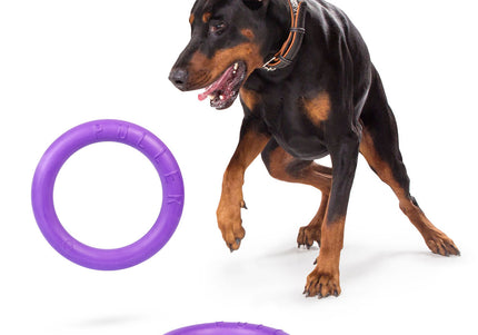 Puller Standard Training Rings 28cm – Durable Interactive Toy Set, 2 Pieces