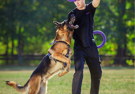 Puller Standard Training Rings 28cm – Durable Interactive Toy Set, 2 Pieces