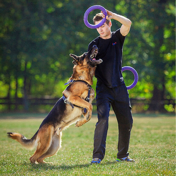 Puller Standard Training Rings 28cm – Durable Interactive Toy Set, 2 Pieces