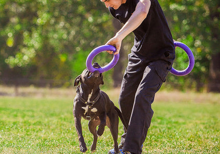 Puller Standard Training Rings 28cm – Durable Interactive Toy Set, 2 Pieces